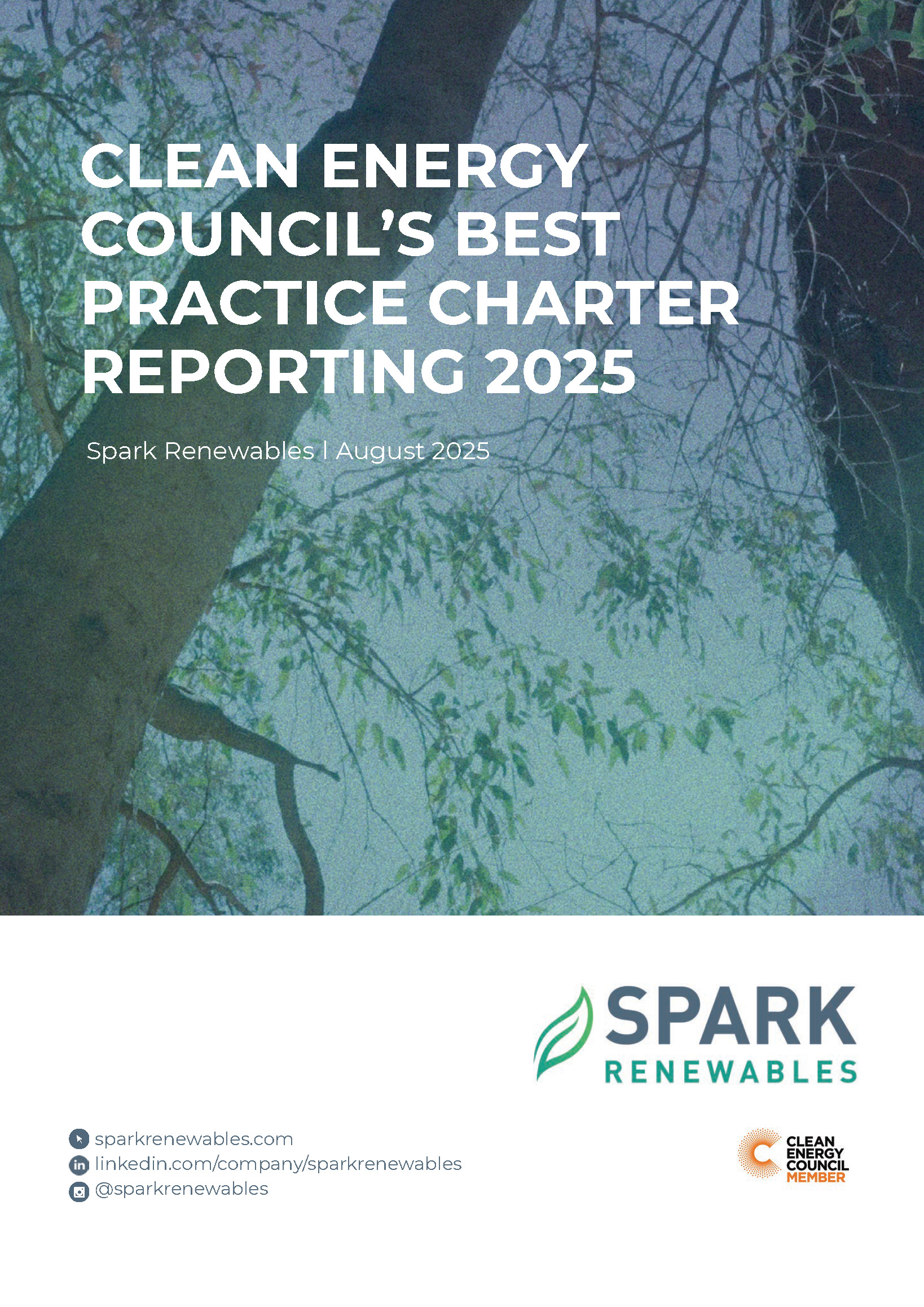 Spark Renewables CEC Best Practice Report 2025_Page_01