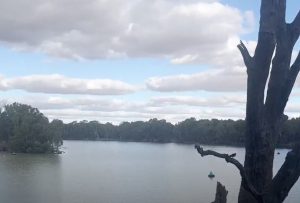 Mallee Wind Farm project Response to Submissions lodged in April 2026